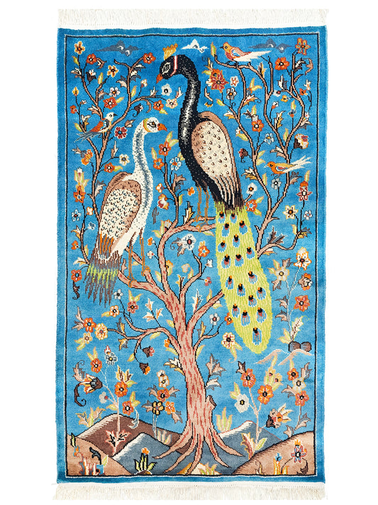 Pictorial Rug - 3x5 ft