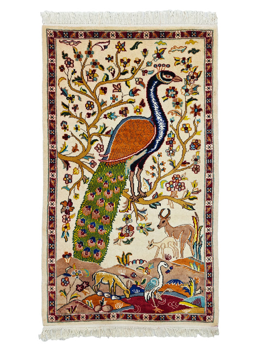 Pictorial Rug - 3x5 ft