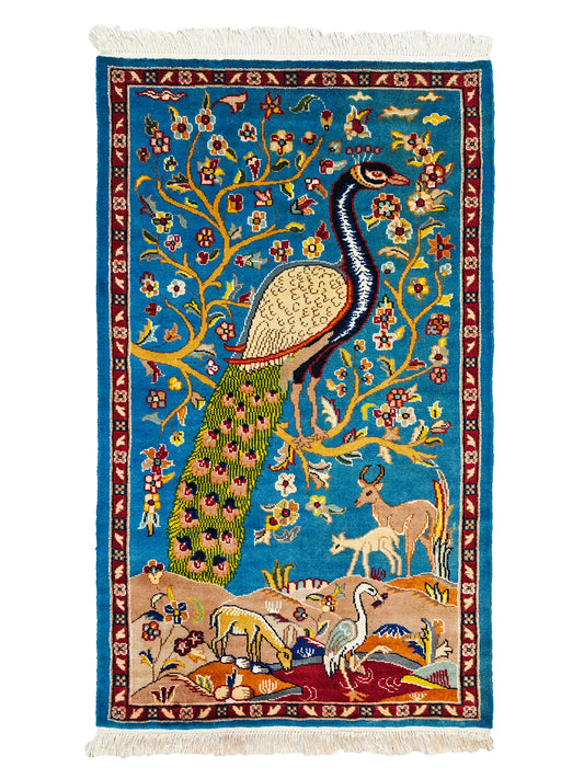 Pictorial Rug - 3x5 ft