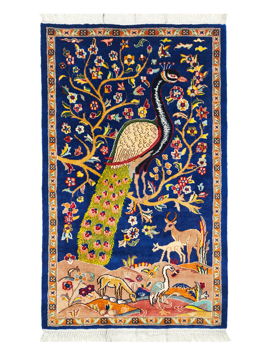 Pictorial Rug - 3x5 ft