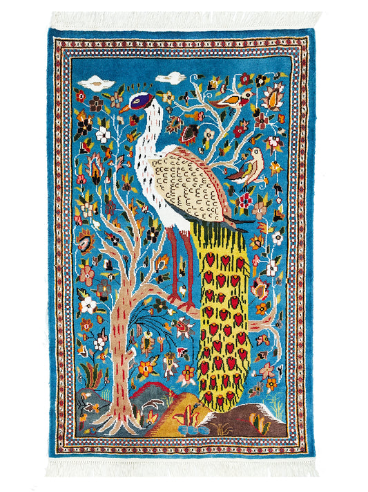 Pictorial Rug - 3x5 ft