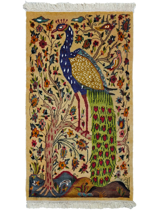 Pictorial Rug - 2.5x4 ft