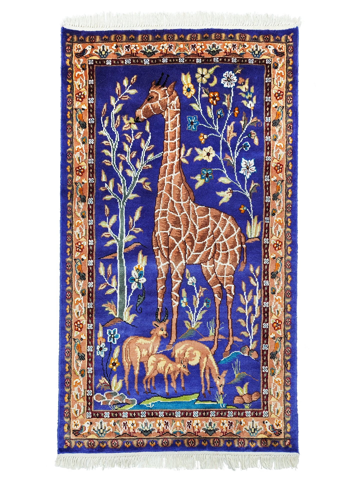 Pictorial Rug - 3x5 ft