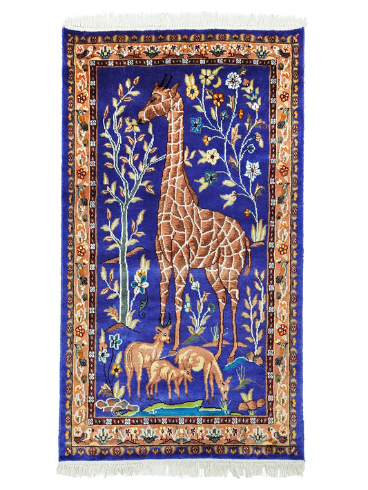 Pictorial Rug - 3x5 ft