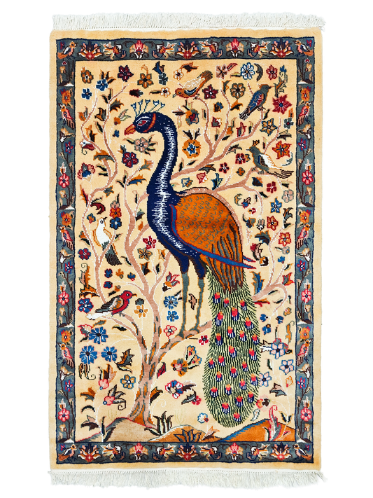 Pictorial Rug - 3x5 ft
