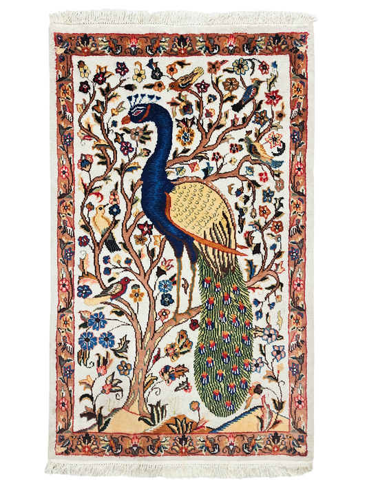 Pictorial Rug - 3x5 ft