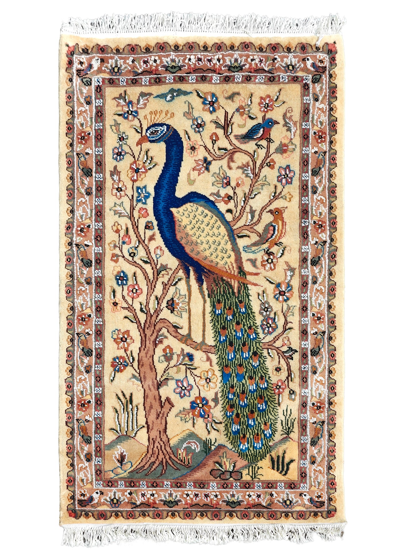 Pictorial Rug - 3x5 ft